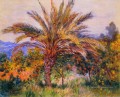 Un palmier à Bordighera Claude Monet